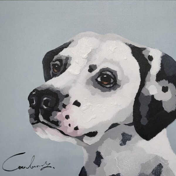 dalmation portrait