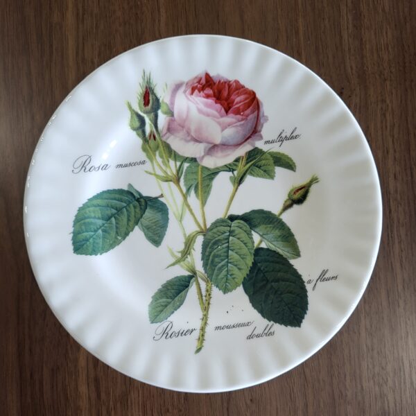 pink/white rose plate